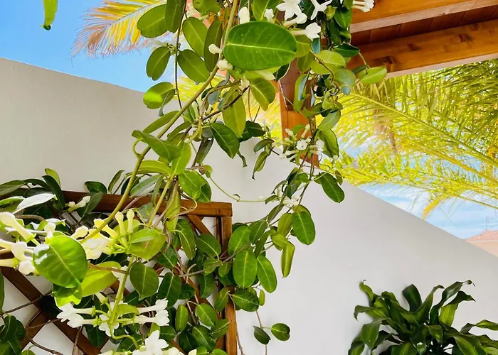 Panoramic Del Atlantico Villa Costa Adeje (Tenerife)