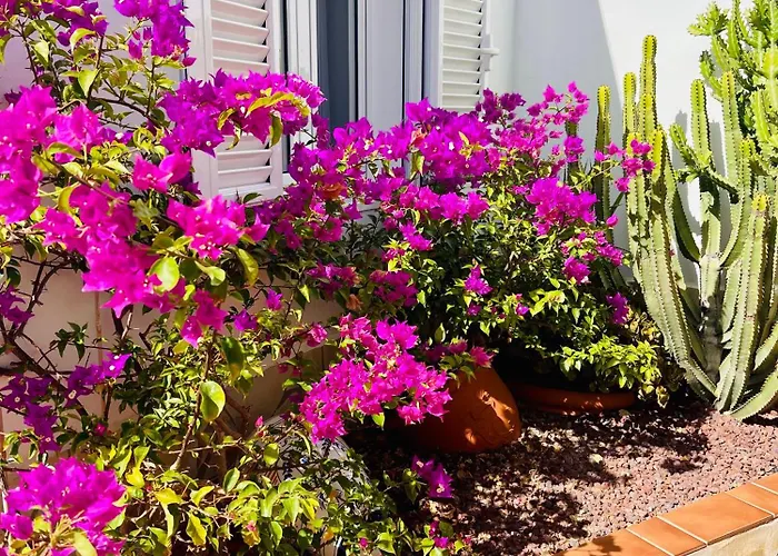 Panoramic Del Atlantico Villa