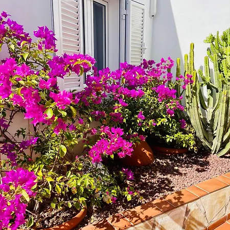 Panoramic Del Atlantico Willa